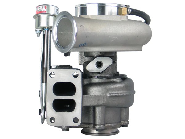 imgi_6_4043980_1.1_grande